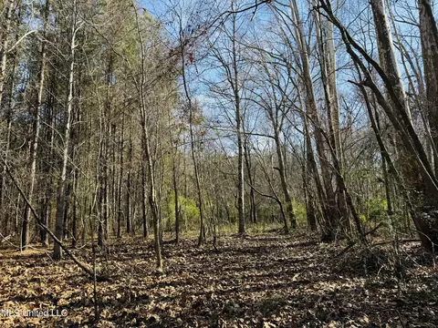 Off Dry Grove Road, Terry, MS 39170 photo 13