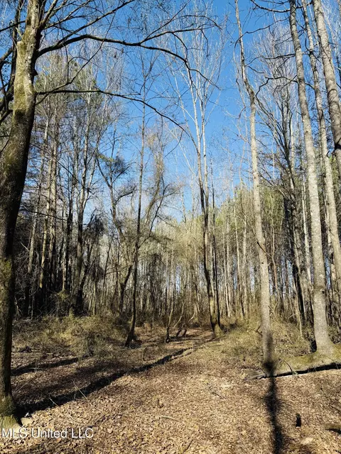 Off Dry Grove Road, Terry, MS 39170 photo 8