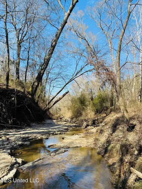Off Dry Grove Road, Terry, MS 39170 photo 14