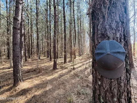 Off Dry Grove Road, Terry, MS 39170 photo 12