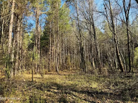 Off Dry Grove Road, Terry, MS 39170 photo 15