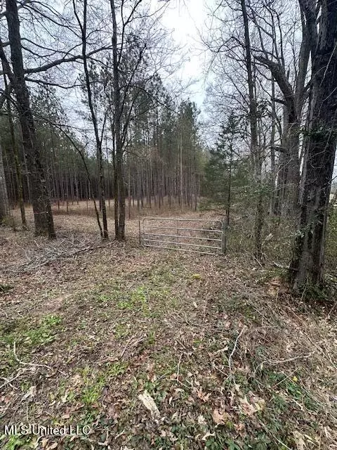 Off Dry Grove Road, Terry, MS 39170 photo 17