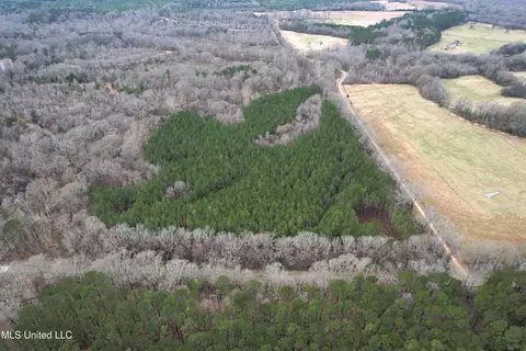 Off Dry Grove Road, Terry, MS 39170 photo 2
