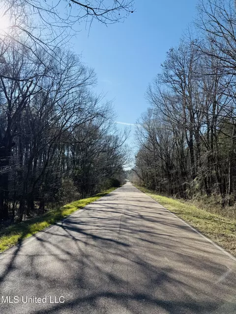 Off Dry Grove Road, Terry, MS 39170 photo 7