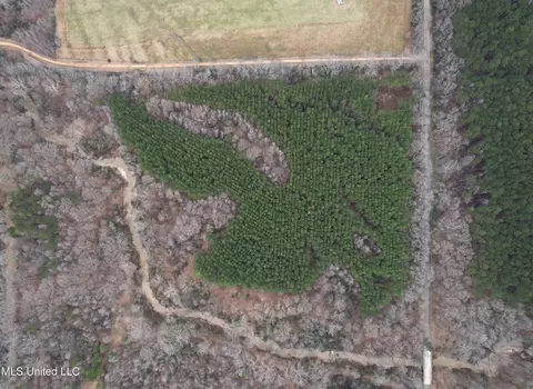 Off Dry Grove Road, Terry, MS 39170 photo 6