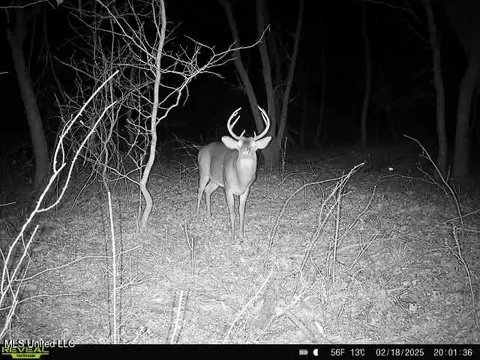 Off Dry Grove Road, Terry, MS 39170 photo 21