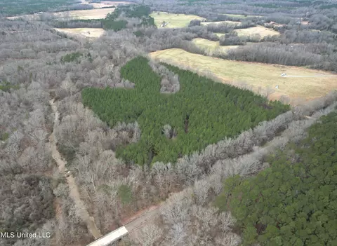 Off Dry Grove Road, Terry, MS 39170 photo 3
