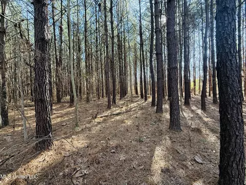 Off Dry Grove Road, Terry, MS 39170 photo 11