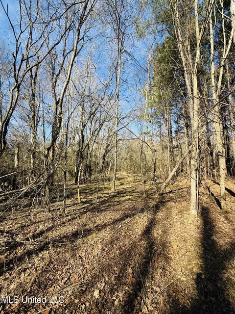 Off Dry Grove Road, Terry, MS 39170