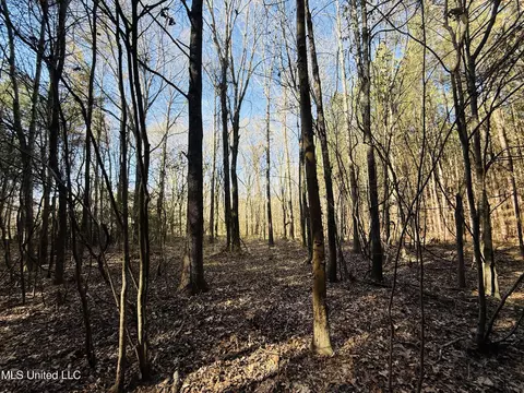 Off Dry Grove Road, Terry, MS 39170 photo 9
