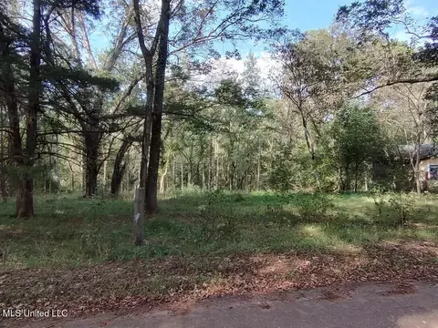 Wickliffe Road, Natchez, MS 39120