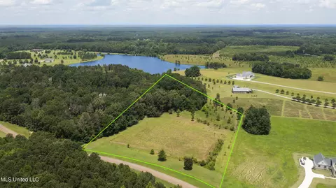 Two Lakes Drive, Madison, MS 39110 photo 7