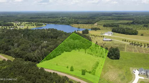 Two Lakes Drive, Madison, MS 39110 photo 8