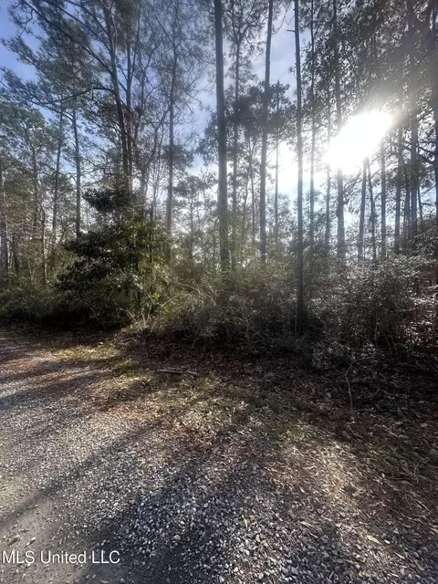 Pine Street, Ocean Springs, MS 39564