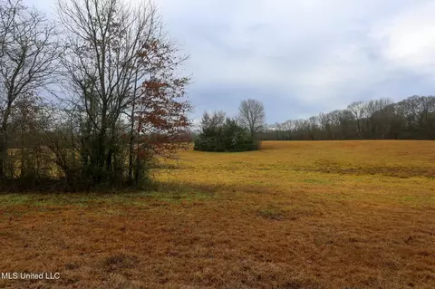 Pardue Road, Raymond, MS 39154 photo 15