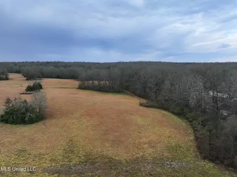 Pardue Road, Raymond, MS 39154 photo 8
