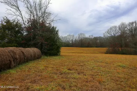 Pardue Road, Raymond, MS 39154 photo 12