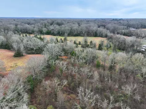 Pardue Road, Raymond, MS 39154 photo 3