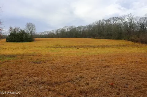 Pardue Road, Raymond, MS 39154 photo 16