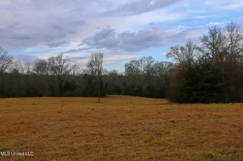 Pardue Road, Raymond, MS 39154 photo 6