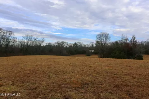 Pardue Road, Raymond, MS 39154 photo 11