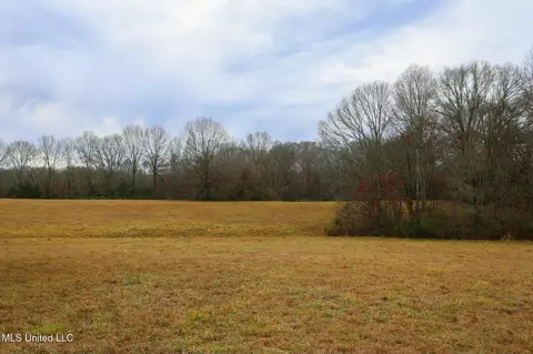 Pardue Road, Raymond, MS 39154 photo 7