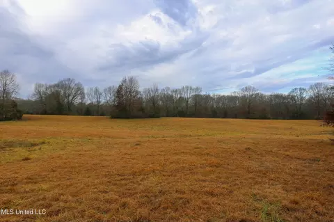 Pardue Road, Raymond, MS 39154 photo 14