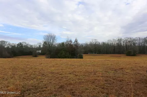 Pardue Road, Raymond, MS 39154 photo 10