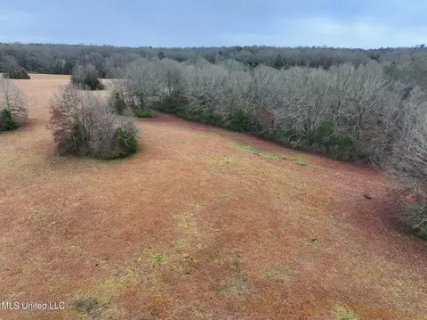 Pardue Road, Raymond, MS 39154 photo 4