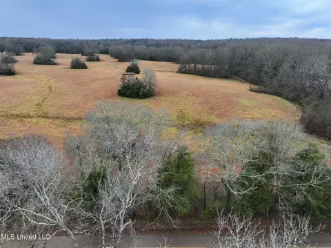 Pardue Road, Raymond, MS 39154 photo 5