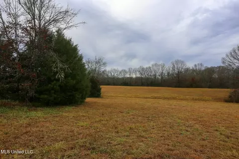 Pardue Road, Raymond, MS 39154 photo 9