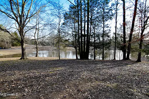 8643 Tulane Rd, Hernando, MS 38632 photo 38