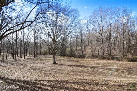8643 Tulane Rd, Hernando, MS 38632 photo 39