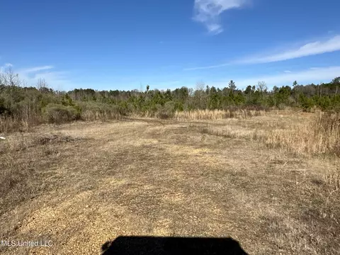 0 Bluff Springs Rd, Gloster, MS 39638 photo 8
