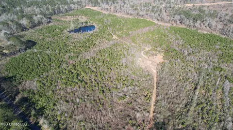 0 Bluff Springs Rd, Gloster, MS 39638 photo 10