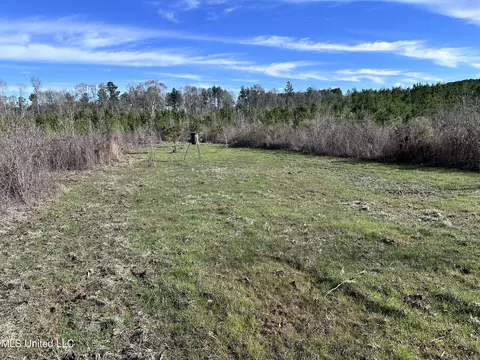 0 Bluff Springs Rd, Gloster, MS 39638 photo 2