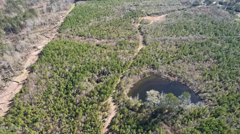0 Bluff Springs Rd, Gloster, MS 39638 photo 12