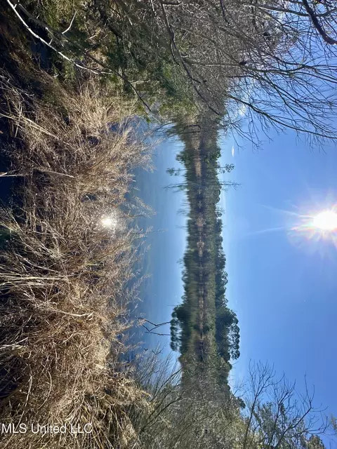 0 Bluff Springs Rd, Gloster, MS 39638