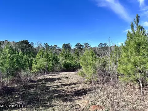 0 Bluff Springs Rd, Gloster, MS 39638 photo 4