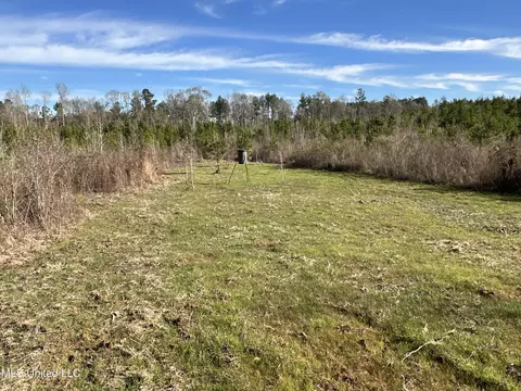 0 Bluff Springs Rd, Gloster, MS 39638 photo 7