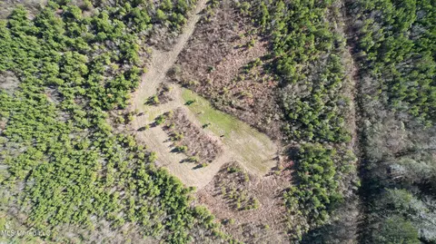 0 Bluff Springs Rd, Gloster, MS 39638 photo 13