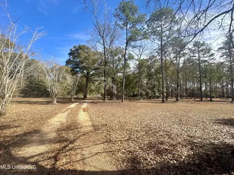 3266 Ward Pineview Rd, Lucedale, MS 39452 photo 26
