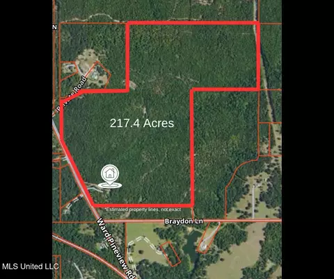 3266 Ward Pineview Rd, Lucedale, MS 39452 photo 33