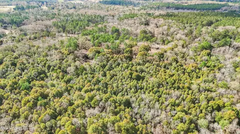 3266 Ward Pineview Rd, Lucedale, MS 39452 photo 29