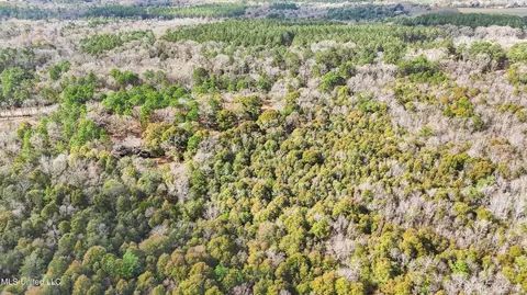 3266 Ward Pineview Rd, Lucedale, MS 39452 photo 30