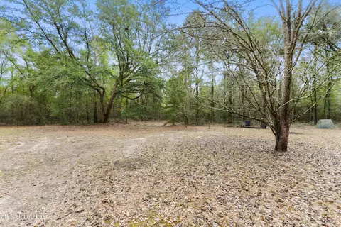 3266 Ward Pineview Rd, Lucedale, MS 39452 photo 25