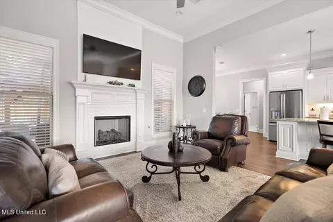Living - 455 Crossvine Pl, Madison, MS 39110 photo 1 of 1