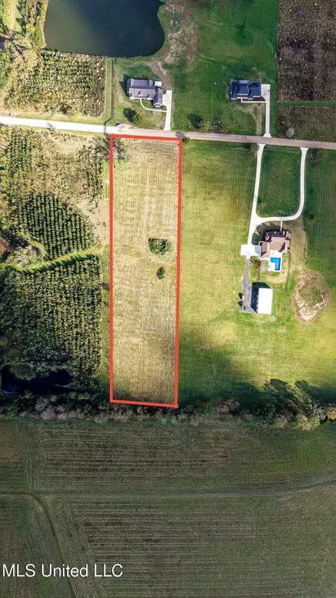 Meadow Oaks Lane, Jackson, MS 39209 photo 3