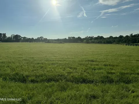 Meadow Oaks Lane, Jackson, MS 39209