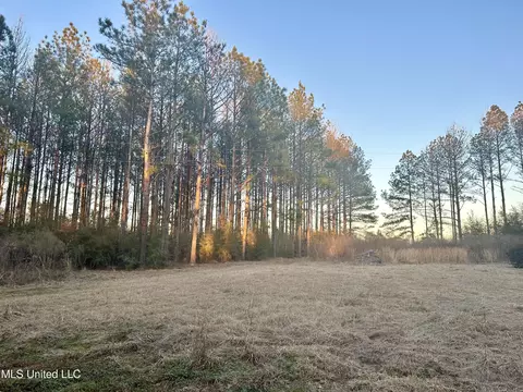 314 Alex Daley Rd, Carson, MS 39427 photo 2